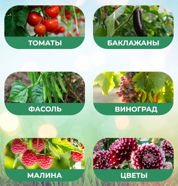 Массажная щетка SPA PRO 